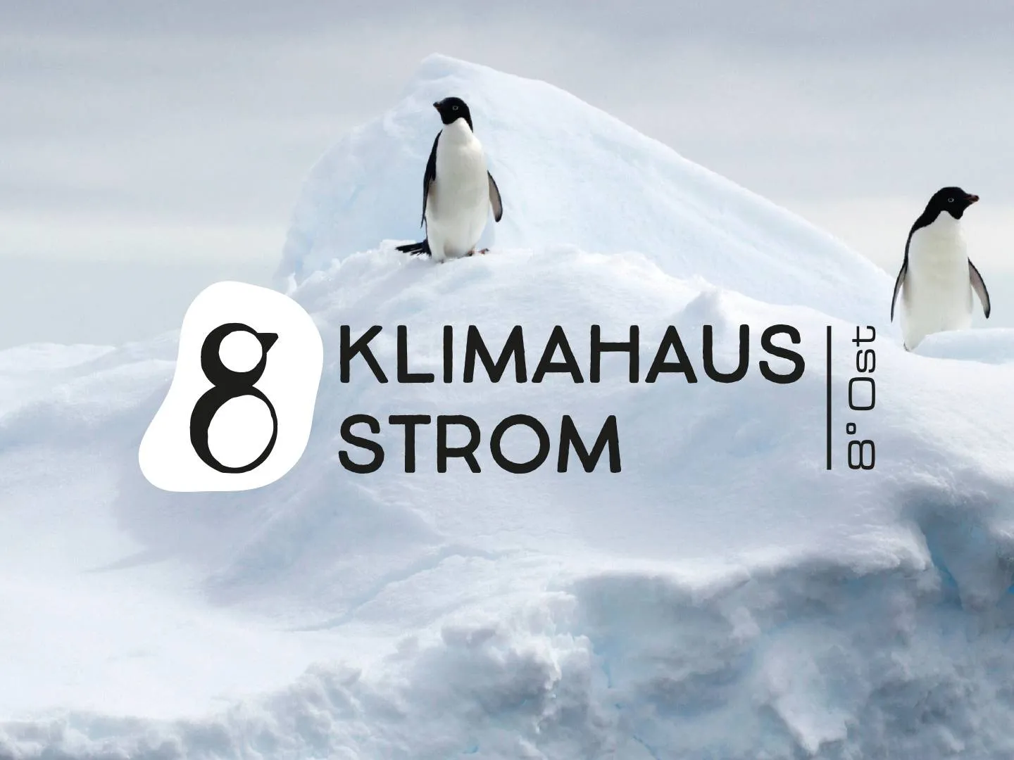 Pinguine auf Eisscholle mit Markenlogo. Visuelles Keyvisual für Nachhaltigkeit, Energiekommunikation und Branding mit Fokus auf Klimaschutz.